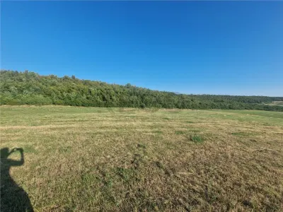 RECO teren extravilan Betfia - foto 8