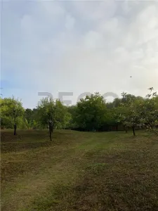 Reco Teren intravilan zona Mini Paradis - foto 1