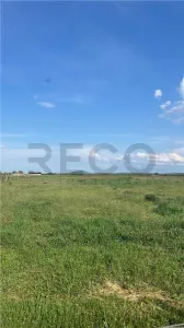 RECO TEREN VANZARE NOJORID - foto 2