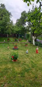RECO Casa Sanmartin 7 camere - foto 5