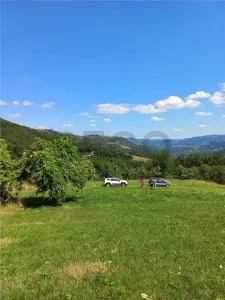 Reco Cabana din lemn in Bulz - foto 3