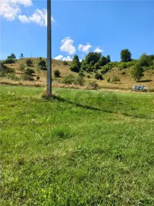 Reco Cabana din lemn in Bulz - foto 4