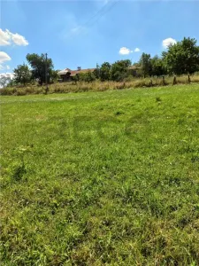 Reco Cabana din lemn in Bulz - foto 5
