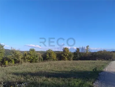 PECO Teren intravilan Saldabagiu De Munte - foto 2