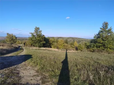 PECO Teren intravilan Saldabagiu De Munte - foto 5