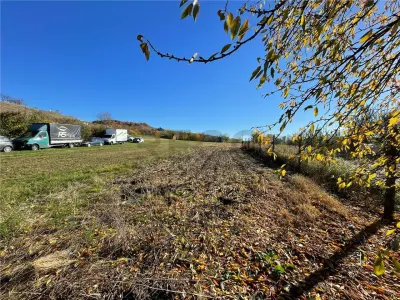 RECO vindem casa in Tinaud - foto 17