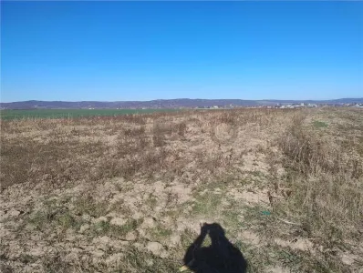 RECO Teren intravilan, Alparea - foto 2