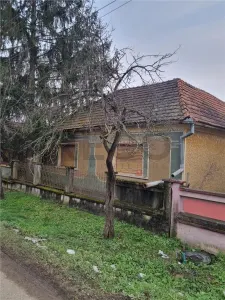 RECO Casa batraneasca cu teren generos in localitatea Tria - Tria