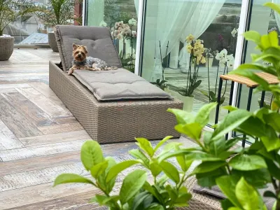 Penthouse Obcini | 240mp totali | Terase  | Parcare | 3c-4342 - foto 15