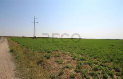 RECO, teren intravilan, Zona Sinteu, Bihor - foto 5