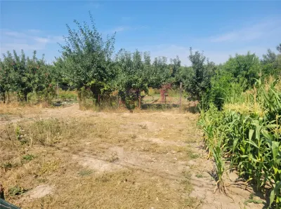Teren intravilan | Salcea | 1848 mp | T-7866 - Salcea