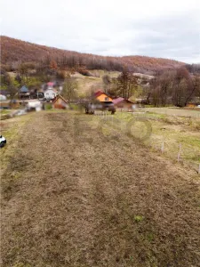 RECO Teren in Zona Pestis, aproape de Alesd - foto 4