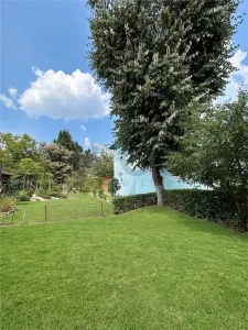 RECO Apartament 2 camere renovat complet, etaj 1/1, intrare separata, zona Louis Pasteur - foto 8