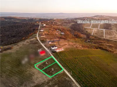 RECO Teren intravilan in Saldabagiu de Munte - foto 13