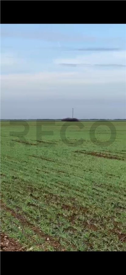 RECO Teren extravilan, zona Industriala in Livada de Bihor - Livada de Bihor