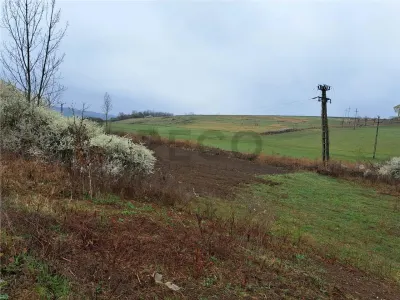 RECO teren Viisoara - foto 3