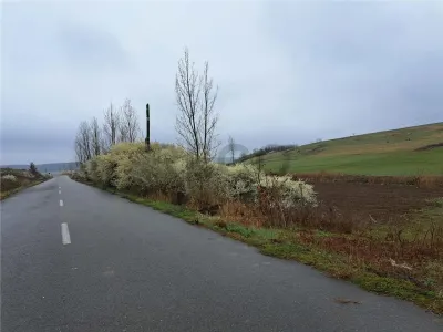 RECO teren Viisoara - foto 4