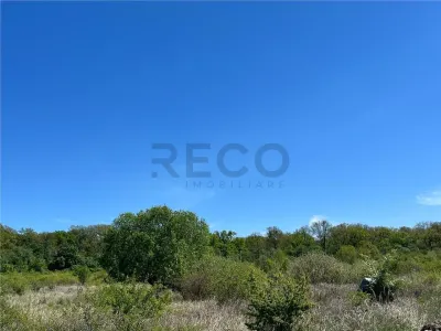 RECO teren intravilan Sanmartin - foto 3