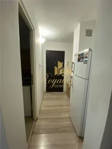 Apartament 1 camera, ETAJ 1- Zona Bucovina - foto 13