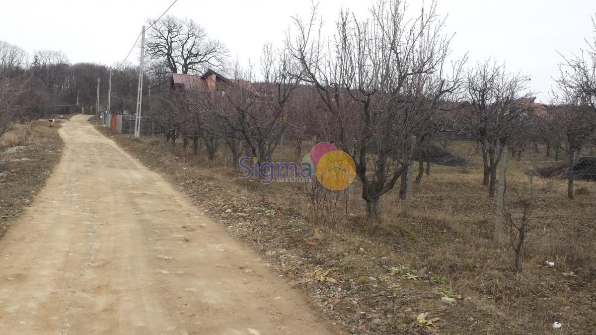 Teren de vanzare Bucium 4300mp - Iasi