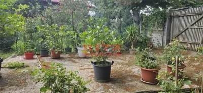 CASA  PROTOSENI - foto 16