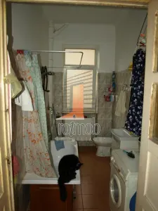 Apartament 3 camere, etajul 1/3, zona Mosilor - foto 9