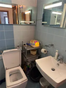 Duplex de închiriat – Zona Centrala, Petru Poni | 85 mp | Curte | Parcare | - foto 13