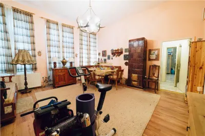 Vila in stil Art Nouveau (Targu Mures, str. Alexandru Papiu Ilarian) - foto 16