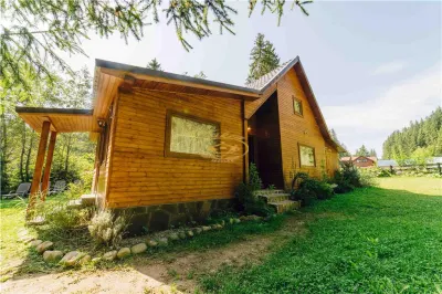 Casa de vacanta (Borzont, jud. Harghita) - foto 2