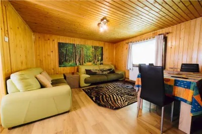 Casa de vacanta (Borzont, jud. Harghita) - foto 6