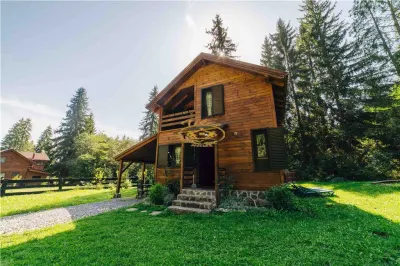 Casa de vacanta (Borzont, jud. Harghita) - Borzont