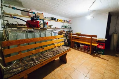 Pensiune si casa de oaspeti la pasul Bucin (Pensiunea Kamilla) - foto 19