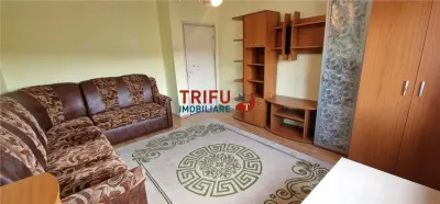 Garsoniera de vanzare etaj 3 Cetate - foto 2
