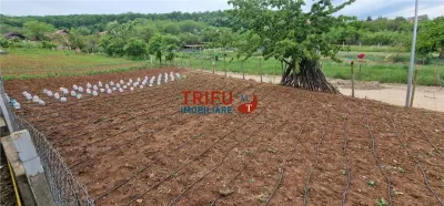 Teren de vanzare zona Micesti - foto 1