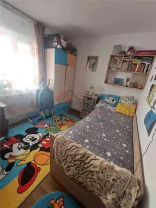 Apartament 3 cam decomandat, Pacurari- Posta/ Moara de Foc - foto 3