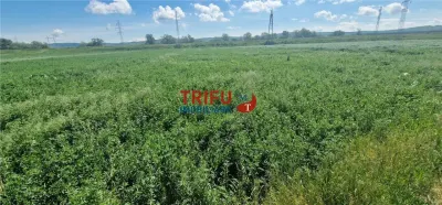 Teren de vanzare zona Soseaua de Centura - foto 4
