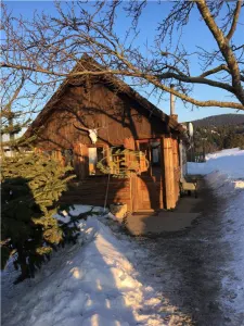 Casa din busteni cu ferma zootehnica si afacere (Tengheler, Com. Ditrau) - foto 23