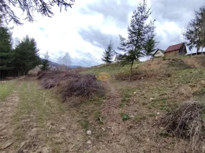 Teren intravilan in Izvoru Muresului (str. Principala) - foto 2