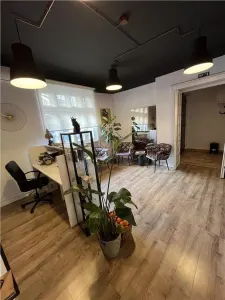Spatiu Birouri cu 5 camere | Apartament | ROMANA - foto 17