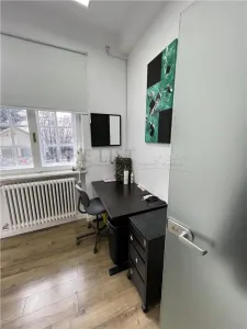 Spatiu Birouri cu 5 camere | Apartament | ROMANA - foto 24