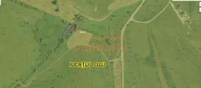Teren de vanzare extravilan Chinteni 5.200m²/32€ m² - foto 5