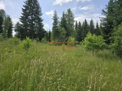 Teren de vanzare intravilan Dealu Negru, com.Calatele, jud. Cluj 1.500m²/25€ m² - foto 7