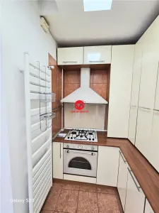 Inchiriere Apartament Superb 180 mp, Centru Vechi - foto 9