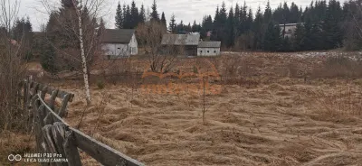 De vanzare teren 1.238m² Belis langa Pescarie - La Gavrila ! 21€m² - foto 9