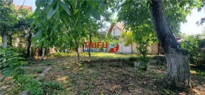 Casă individuală cu curte verde, pe cea mai frumoasă stradă din Centrul Alba Iuliei - foto 3