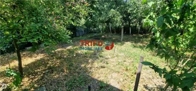 Casă individuală cu curte verde, pe cea mai frumoasă stradă din Centrul Alba Iuliei - foto 22