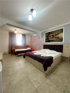 Pensiune Moderna si Profitabila in Vama Veche - Business la Cheie - foto 6