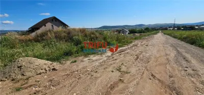 Teren Intravilan Micesti Partea Stanga  ! - foto 9
