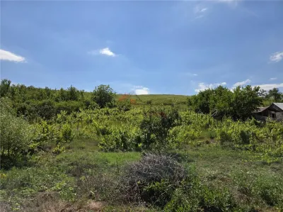 Teren 4800MP - Tomesti - La Soseaua Principala - foto 12