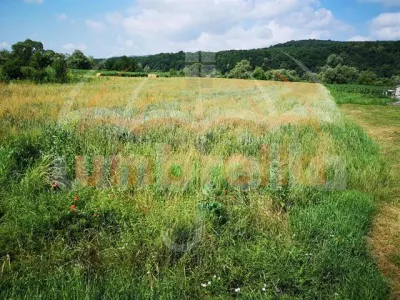 la, Strada Dejului 4.060m²/70€ m² - foto 1